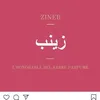 elzineb87