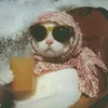 its_smsomi