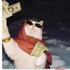 whoisnad_j