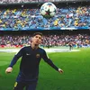 1fandomessi