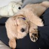 chilloutlala