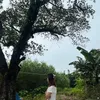 .chuthocon_