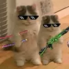 leozin_zx3k
