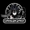 cris2k2901