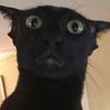 whyread422