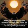 ampaskelapa23