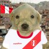 rodrl26