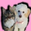 annabelle.and.kenzie