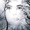 bethbarillo