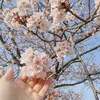 kumori_9210