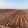 ataca_tarim21