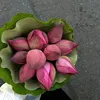 _iamhuien_
