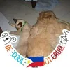 maricorpimentel