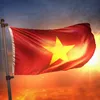 hanhsongtran91