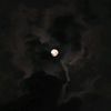 light_of_life000