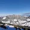 moniseigl