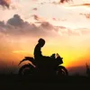 vannamyb