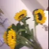 xanhbiet07