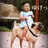 necopanda0