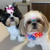 Belinha&Maju
