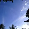 albertosantos339