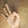 rodelarias0