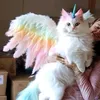 mrsluccik