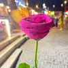 menaamer1111