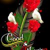 user22053337