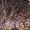 ballycastle0