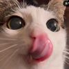 hera_c2l