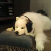 mwwndyx