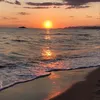 euniavivi