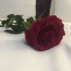 noor.meb
