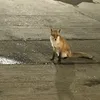 davebaxter3