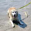 lalyhugo050486