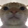 mikah_143_