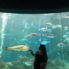 vasiliki_7219