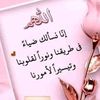 usernbwgb86m98