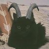 lagrimas_de_un_gato