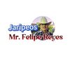 JaripeosMr.FelipeReyes