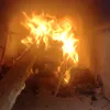 lucianalira1