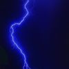 shad._7