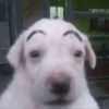 mariooxvx