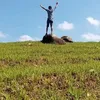 rbagiosoyahoo.com