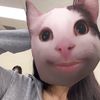 yasamin.hashimi