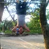 robertotamares10