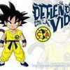 user9227194