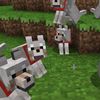 wolfo16oficial