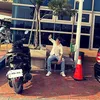 leetrongdai97